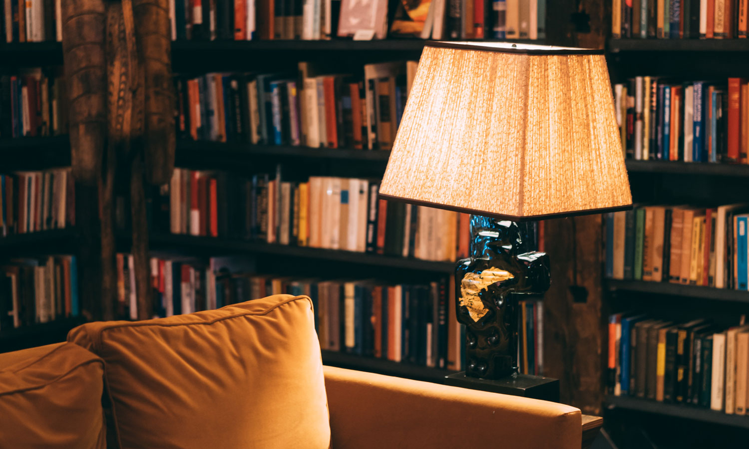 Thumbnail for Dog-Eared Readings: A new chapter for Adelaide’s literary landscape
