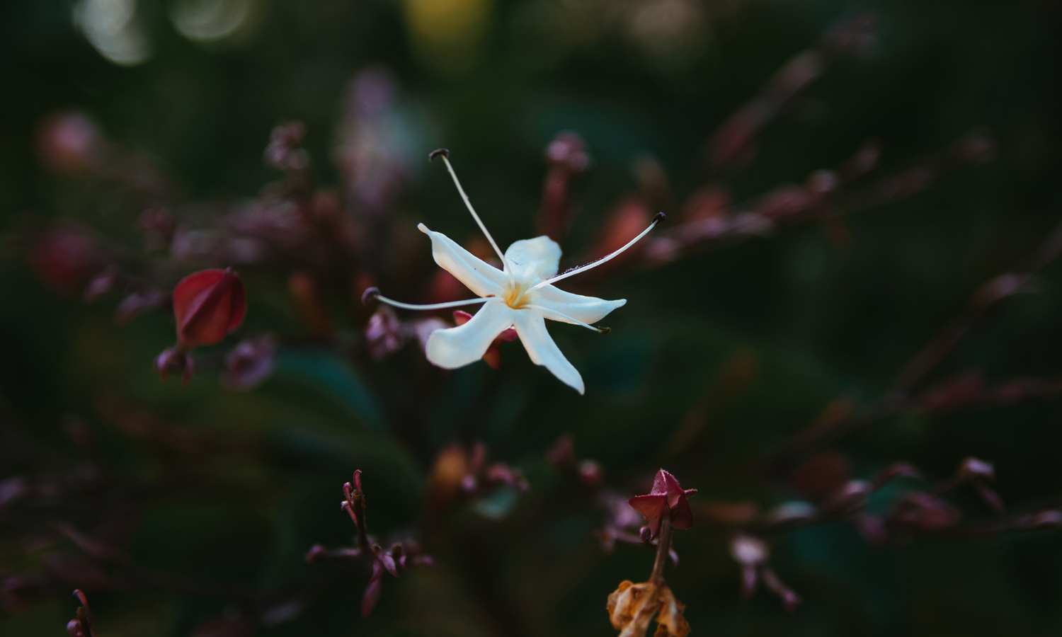 Photo: Jorge Urosa / Pexels