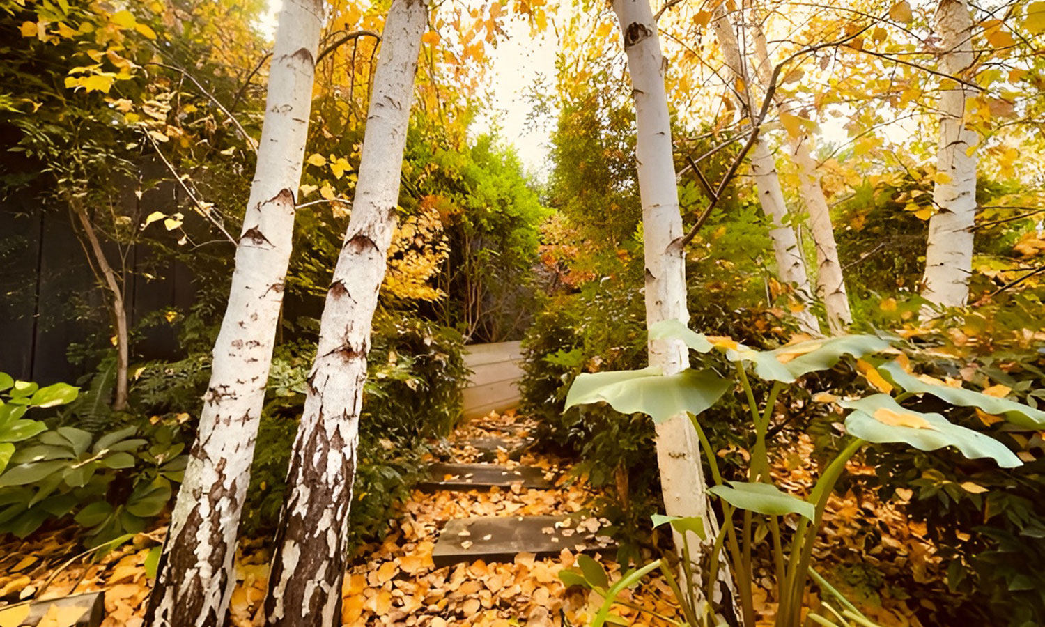 Alana Potgieter's garden in winter. Photo: supplied