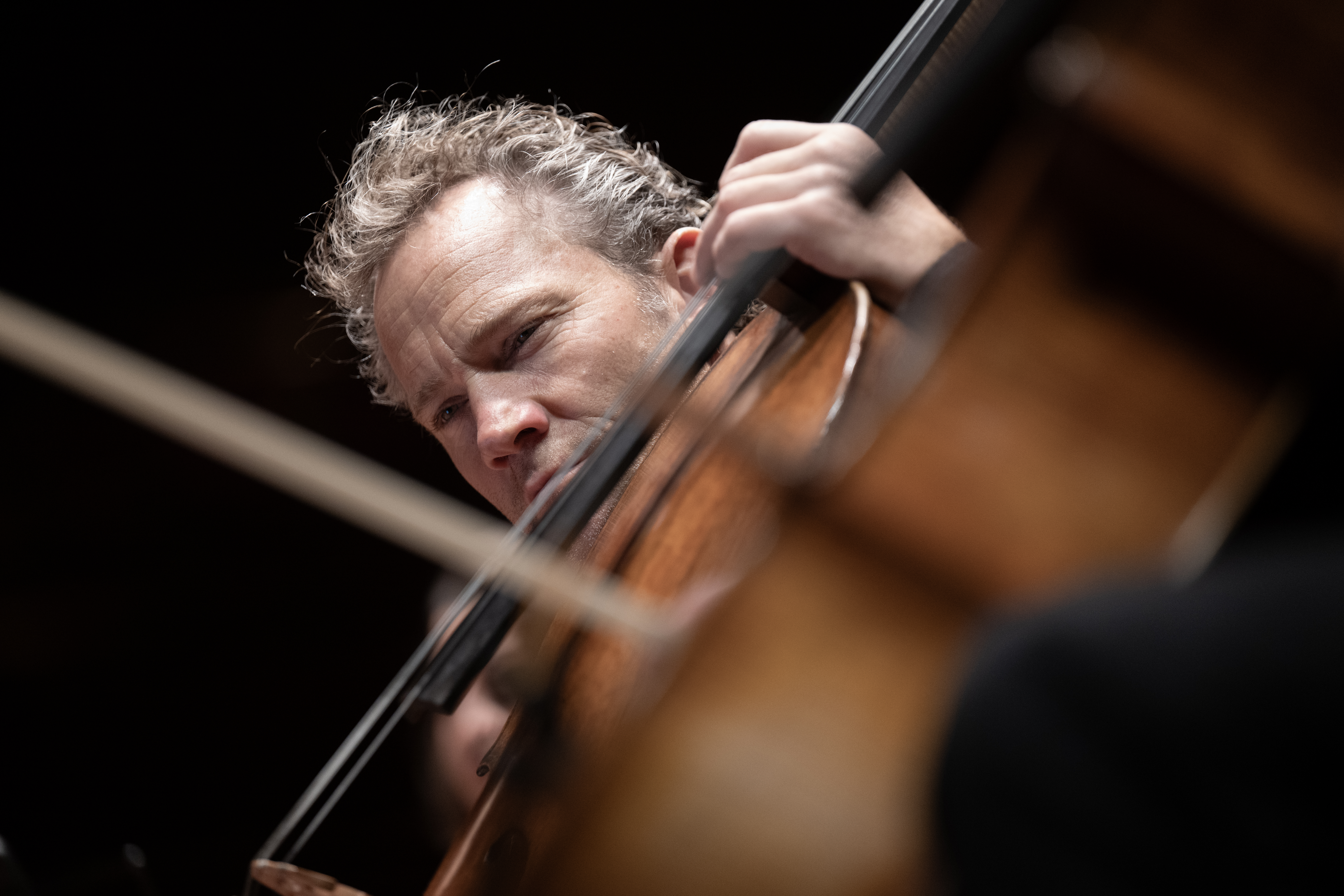 Thumbnail for Mondays are likable with the Australian Chamber Orchestra