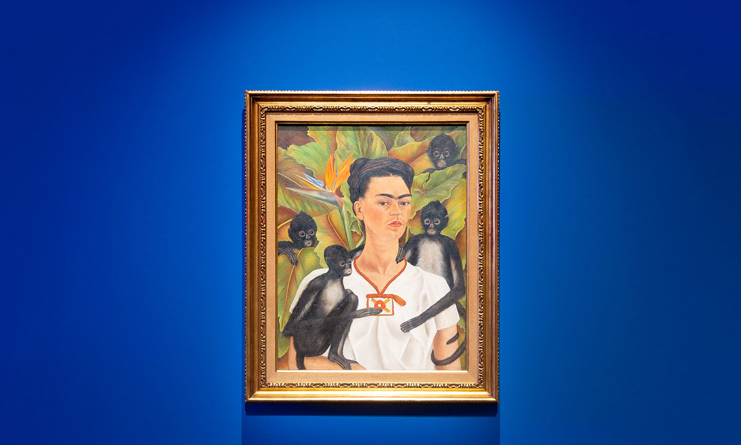 Thumbnail for Green Room: Frida & Diego a hot ticket, opportunities for writers and artists