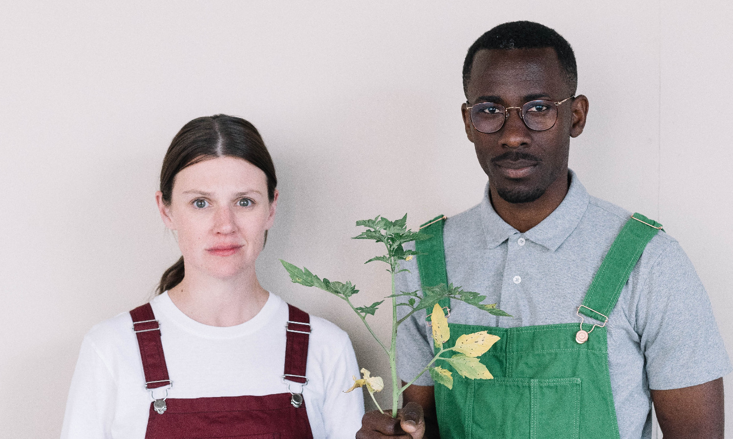 Thumbnail for Middle-class guilt takes root in The Garden