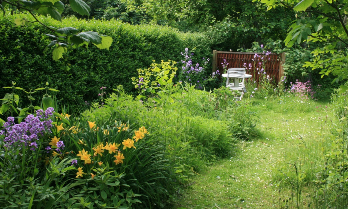 Thumbnail for Poem: Wild Garden Time