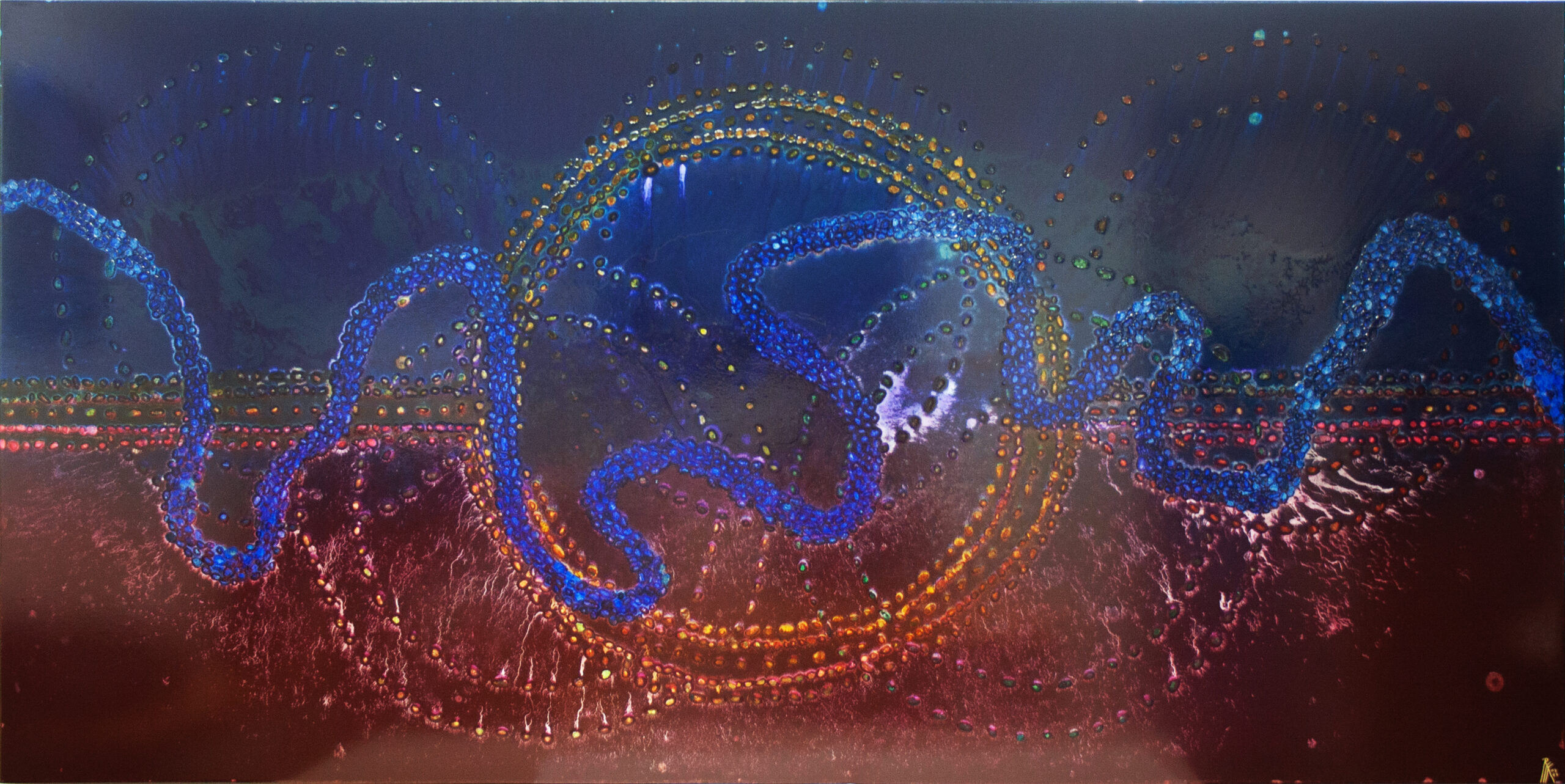 Birrunga Wiradyuri's painting Fireworks of Meanjin interrogates issues concerning the coming of the Brisbane 2032 Summer Olympics and Paralympics.