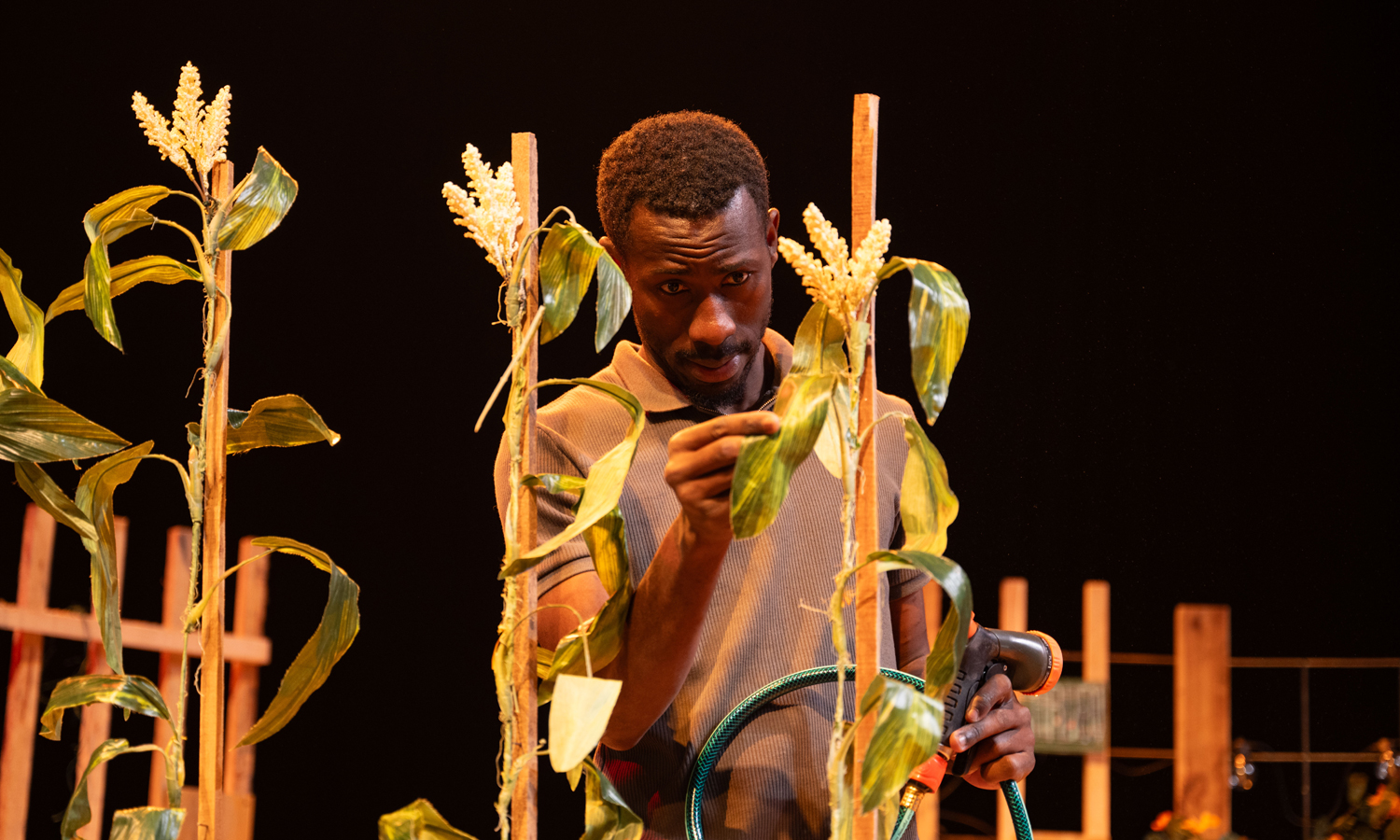Thumbnail for Theatre review: The Garden