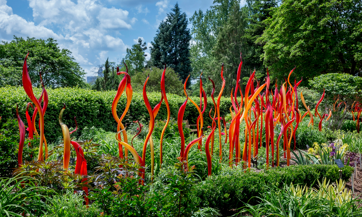 Dale Chihuly, 'Carmel and Red Fiori', 2015, Atlanta Botanical Garden, installed 2016. © 2015 Chihuly Studio. Photo: Scott Mitchell Leen / supplied