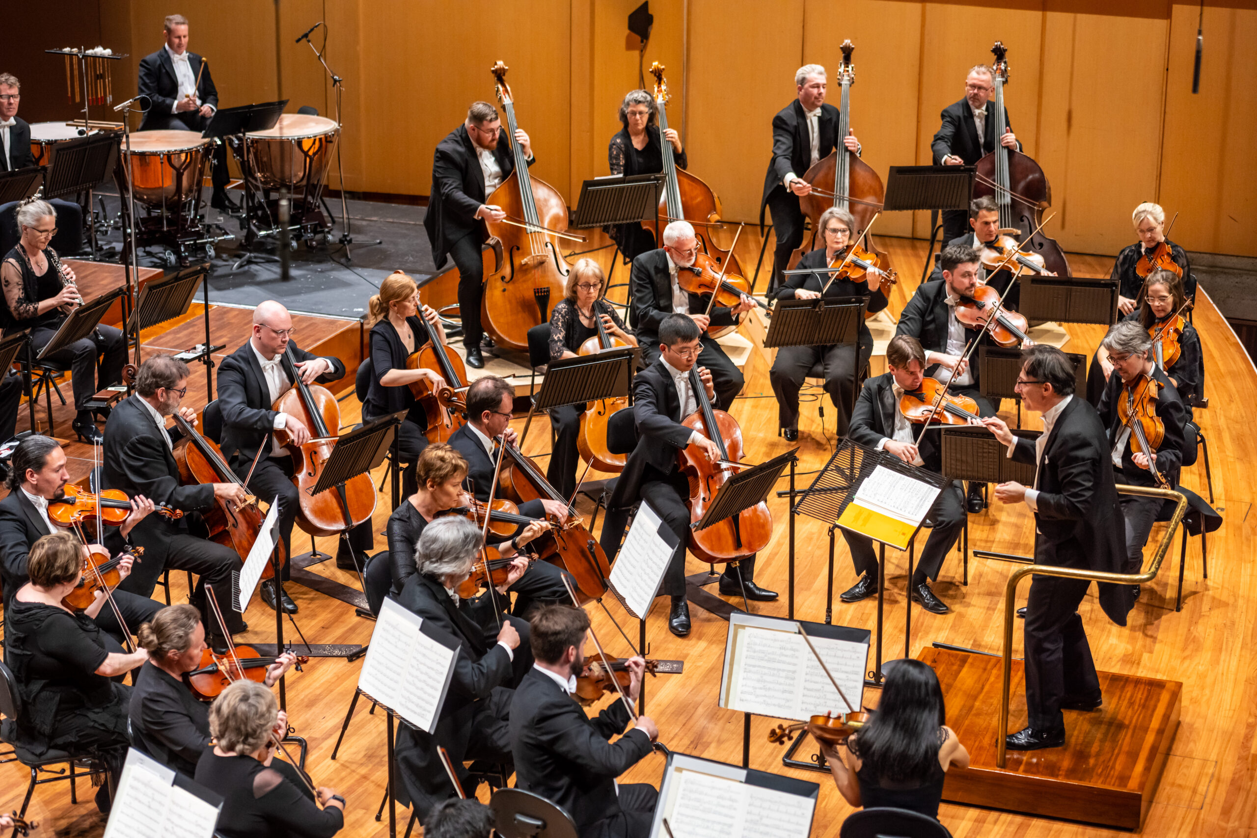 Thumbnail for Orchestra and baton in swooning harmony