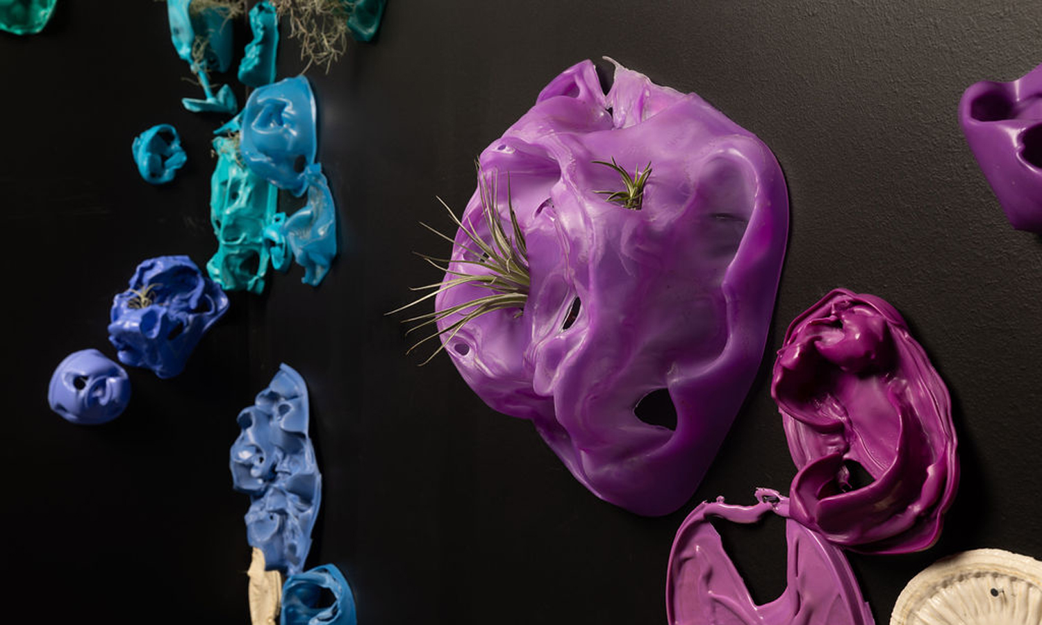 Thumbnail for Place, play and plastics: a fascinating showcase of graduate art