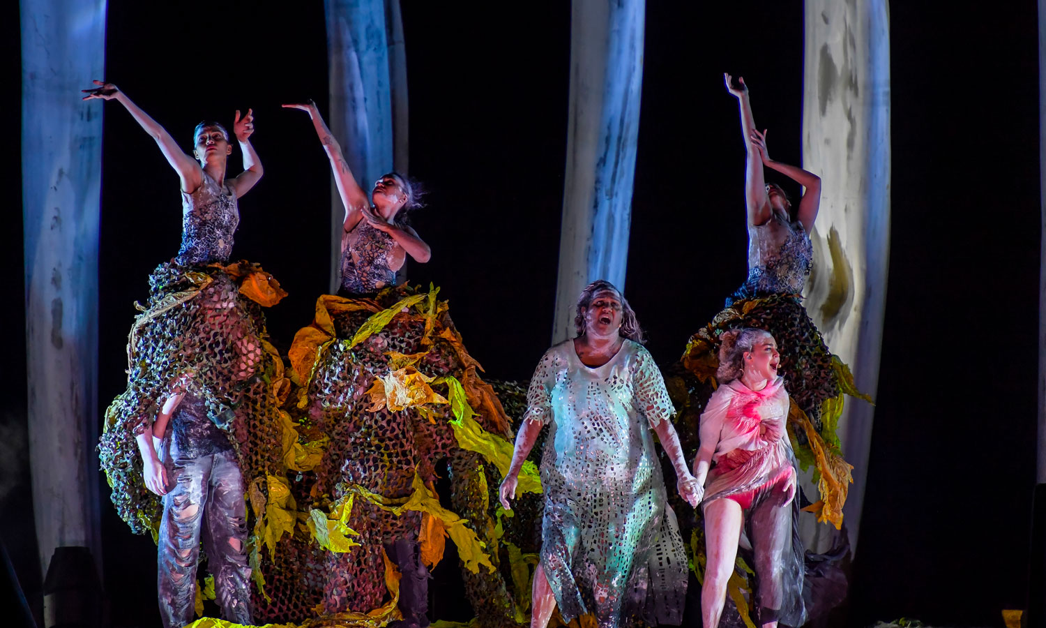 Thumbnail for Adelaide Festival review: Baleen Moondjan