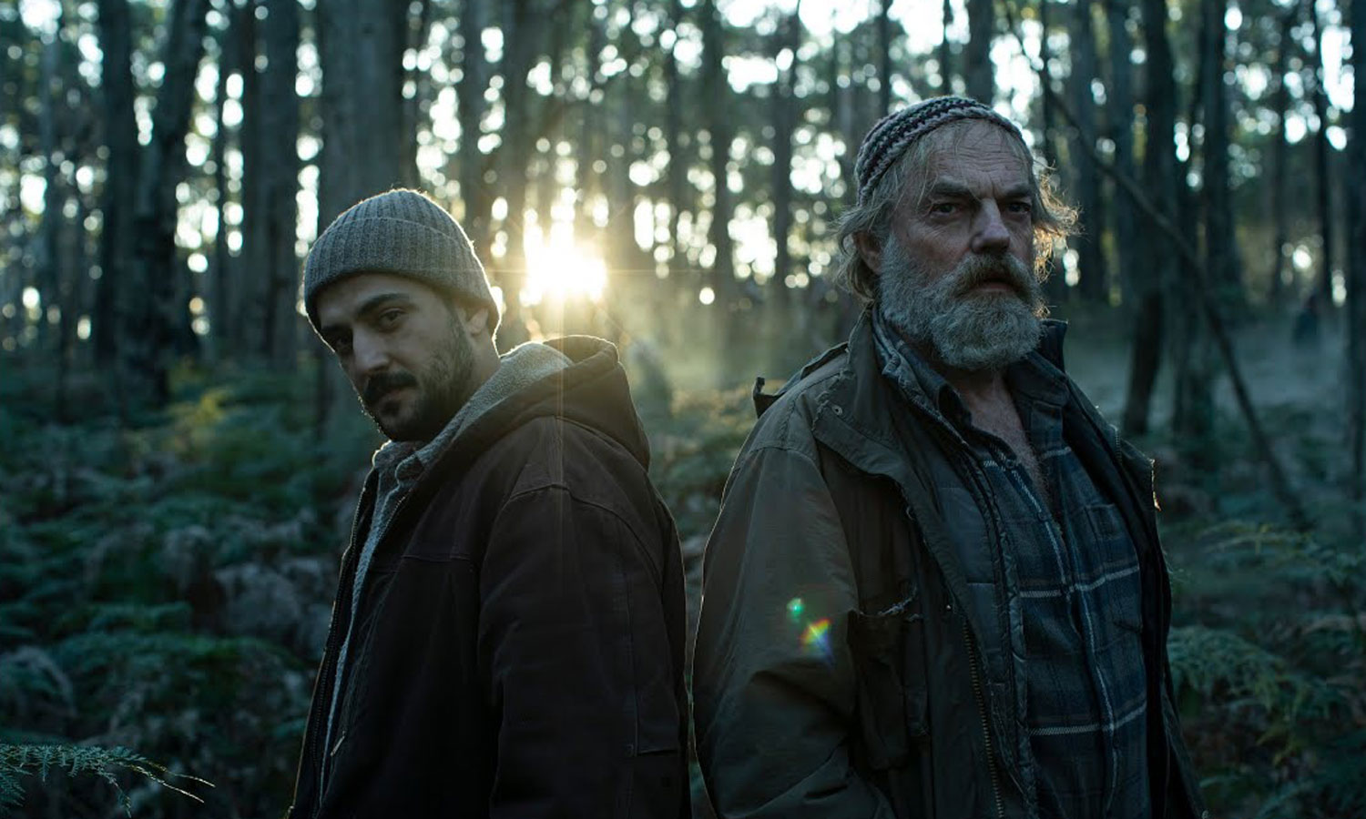 Thumbnail for Film review: The Rooster