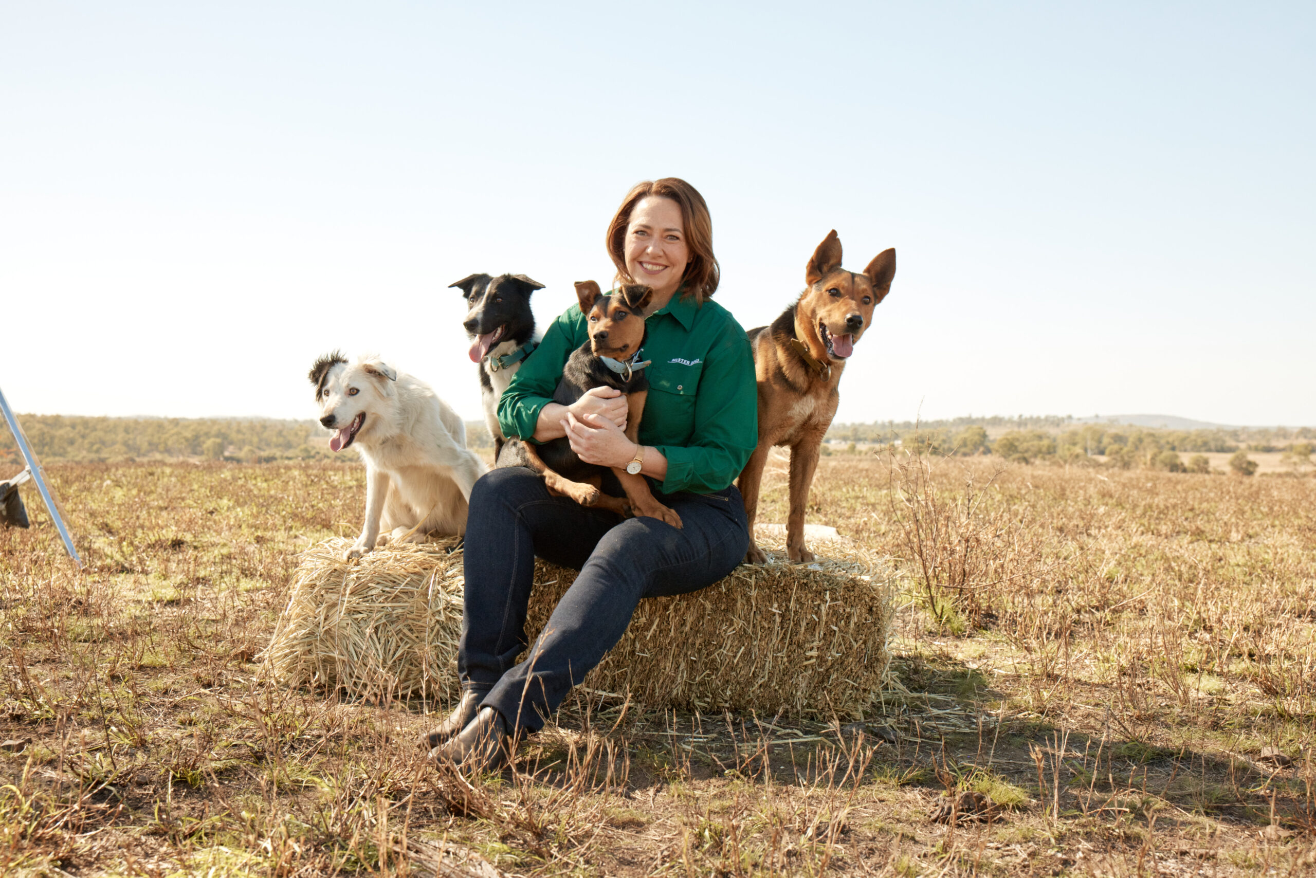 Lisa Millar's new book tells the story behind two successful seasons of Muster Dogs on ABC-TV.