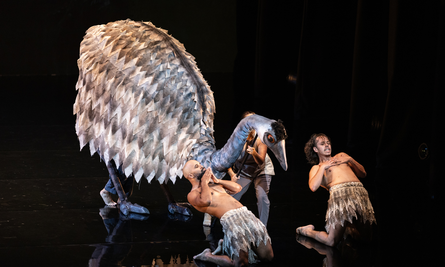 Thumbnail for Adelaide Festival review: Guuranda