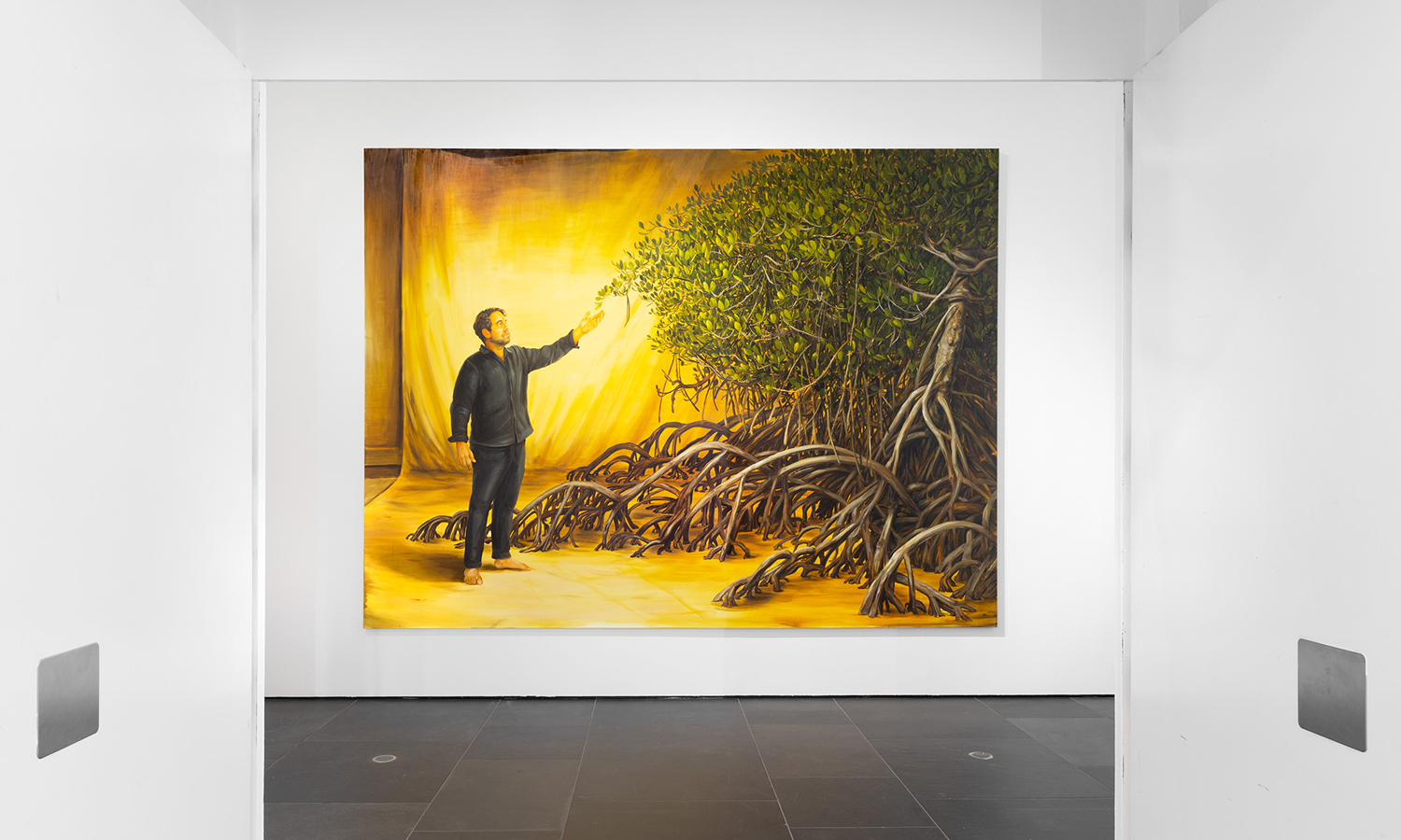 Thumbnail for Adelaide Biennial review: The search for sanctuary