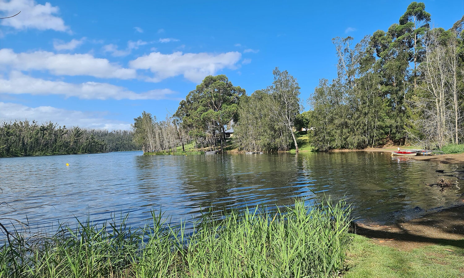 Thumbnail for Poem: Kayaking on Lake Conjola