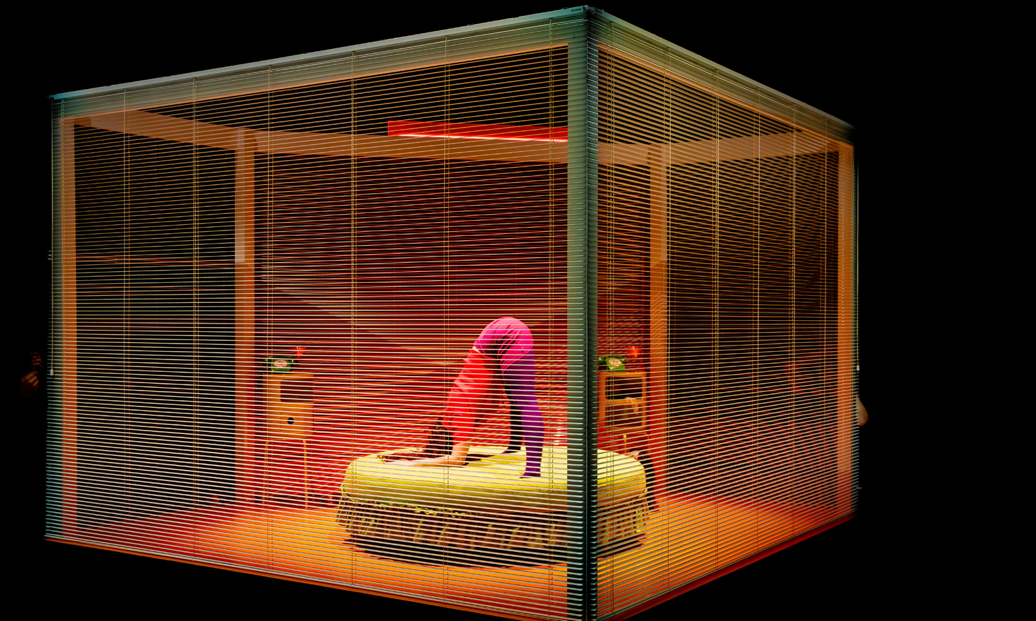 Thumbnail for Adelaide Festival review: Private View