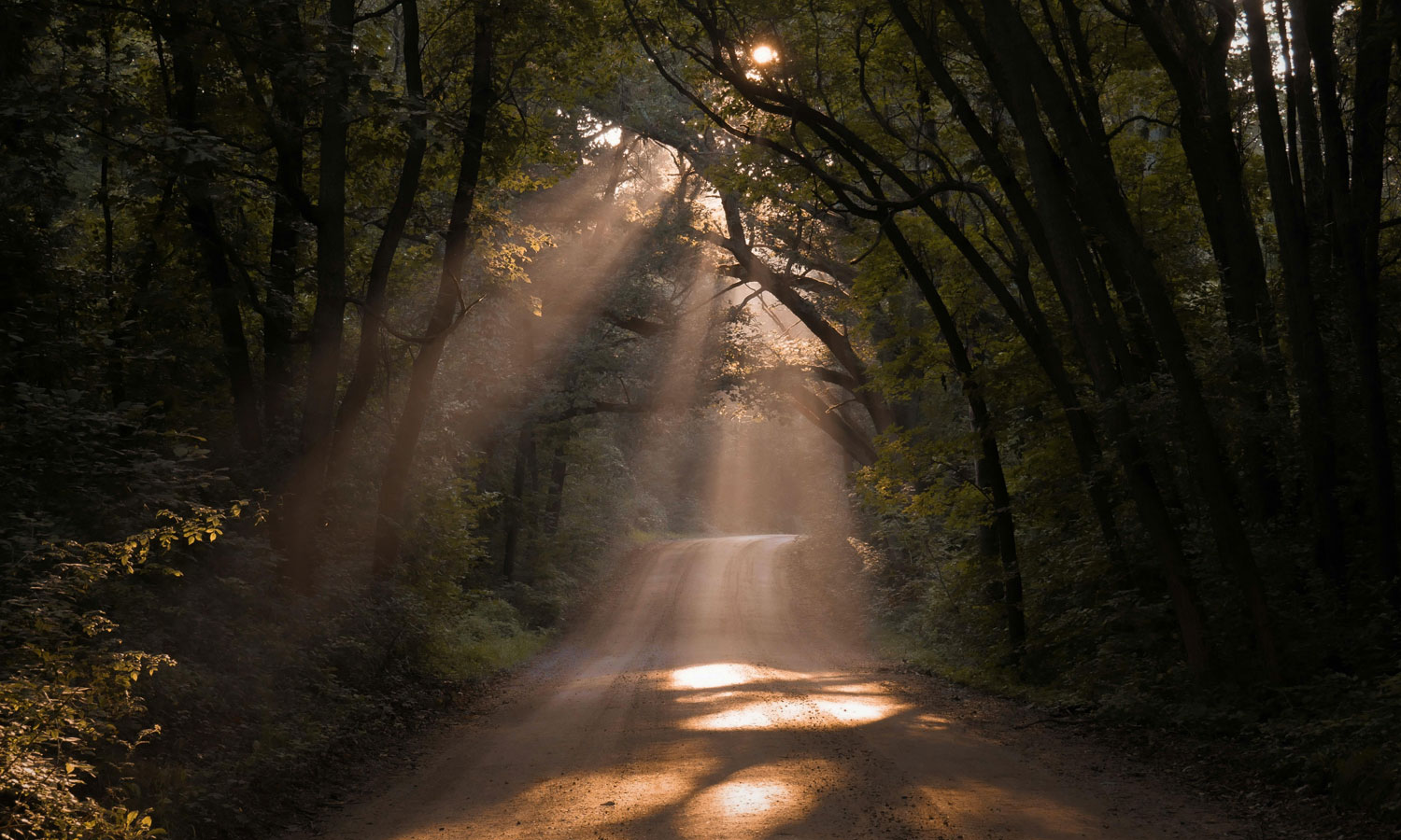 Photo: Aaron Burden / Pexels