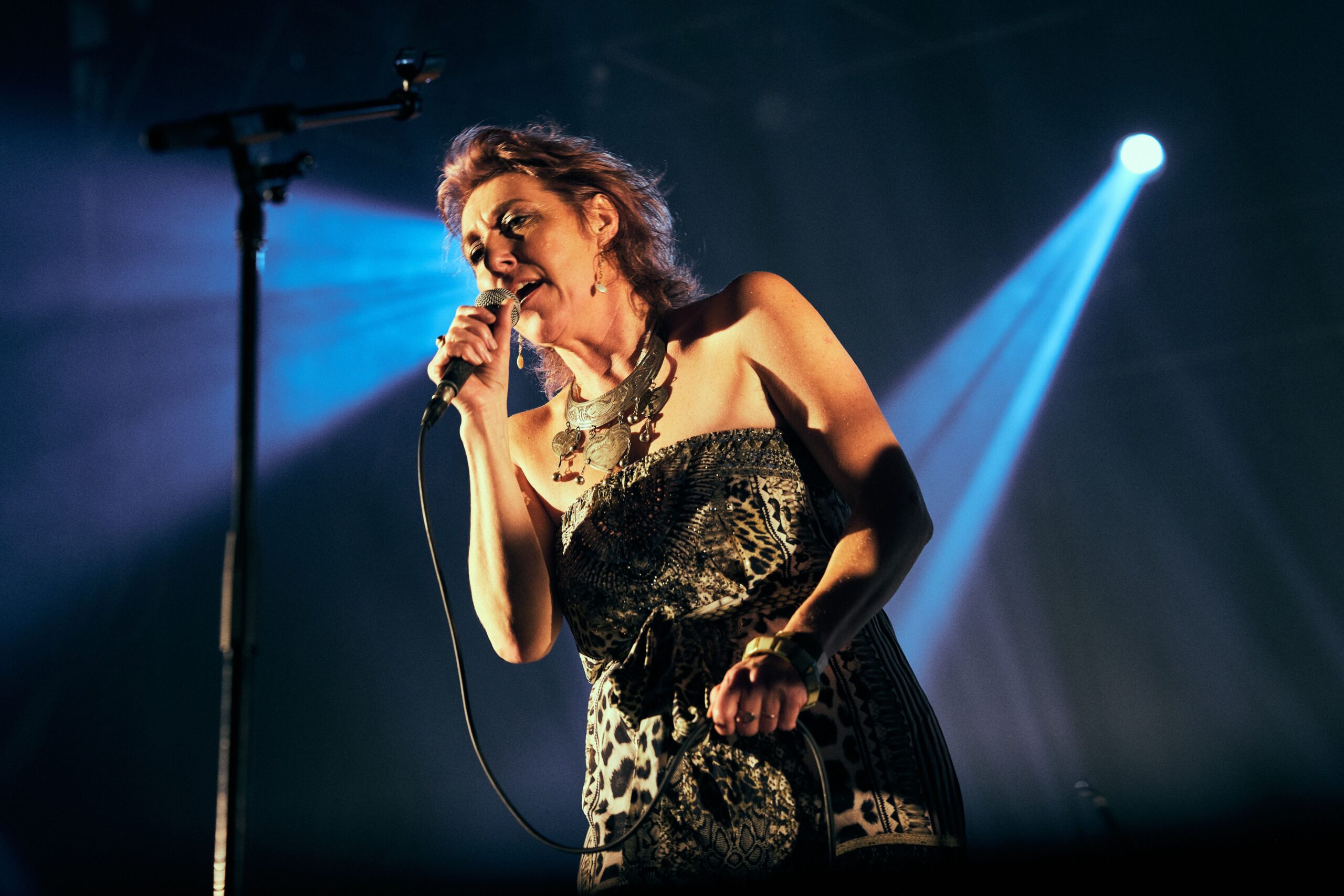Thumbnail for Never hold back: Martha Wainwright’s words and music