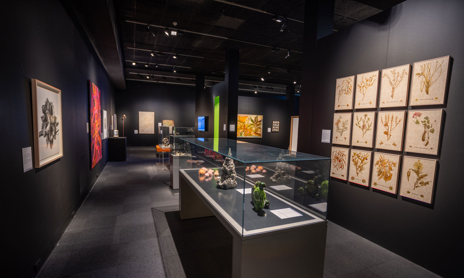 The work of finalists in the 2024 Waterhouse Natural Science Art Prize is on show at the SA Museum until June 10. Photo: Angus Northeast / supplied
