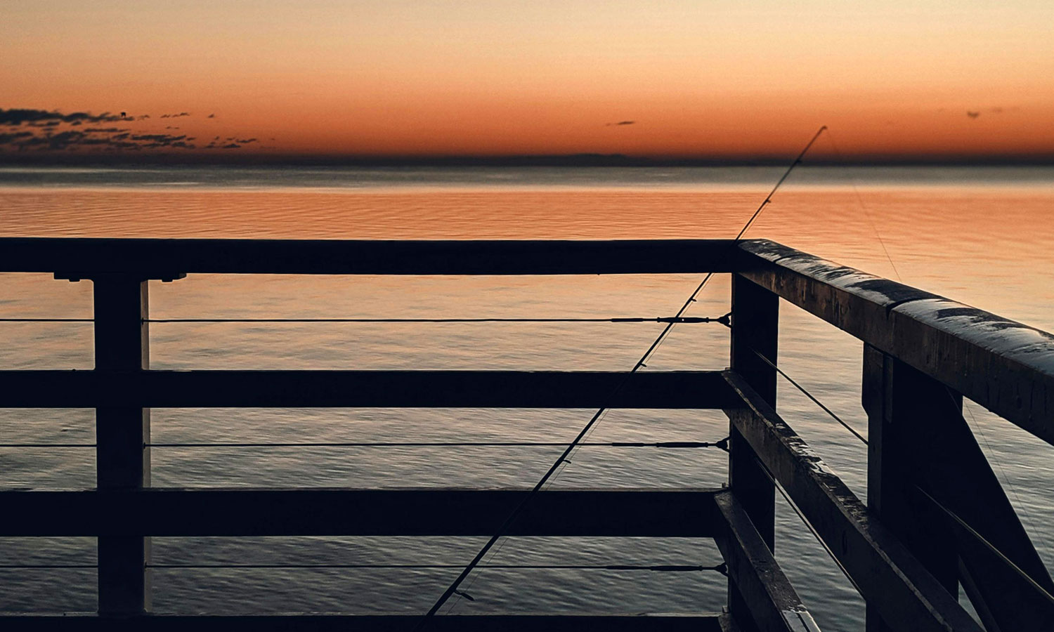 Photo: Valeriia Miller / Pexels