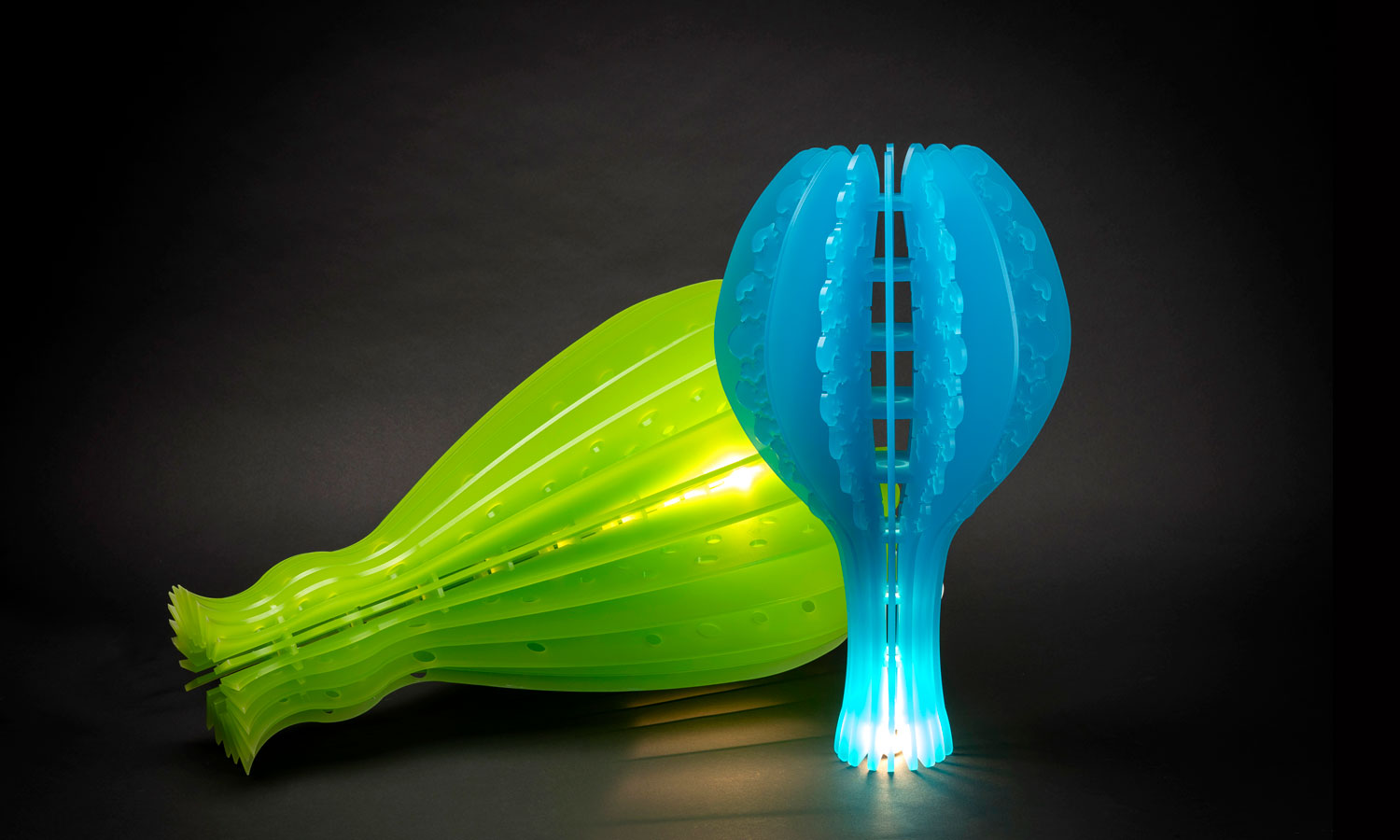 Thumbnail for Marijana Tadic’s Bioluminescence is both bold and beautiful
