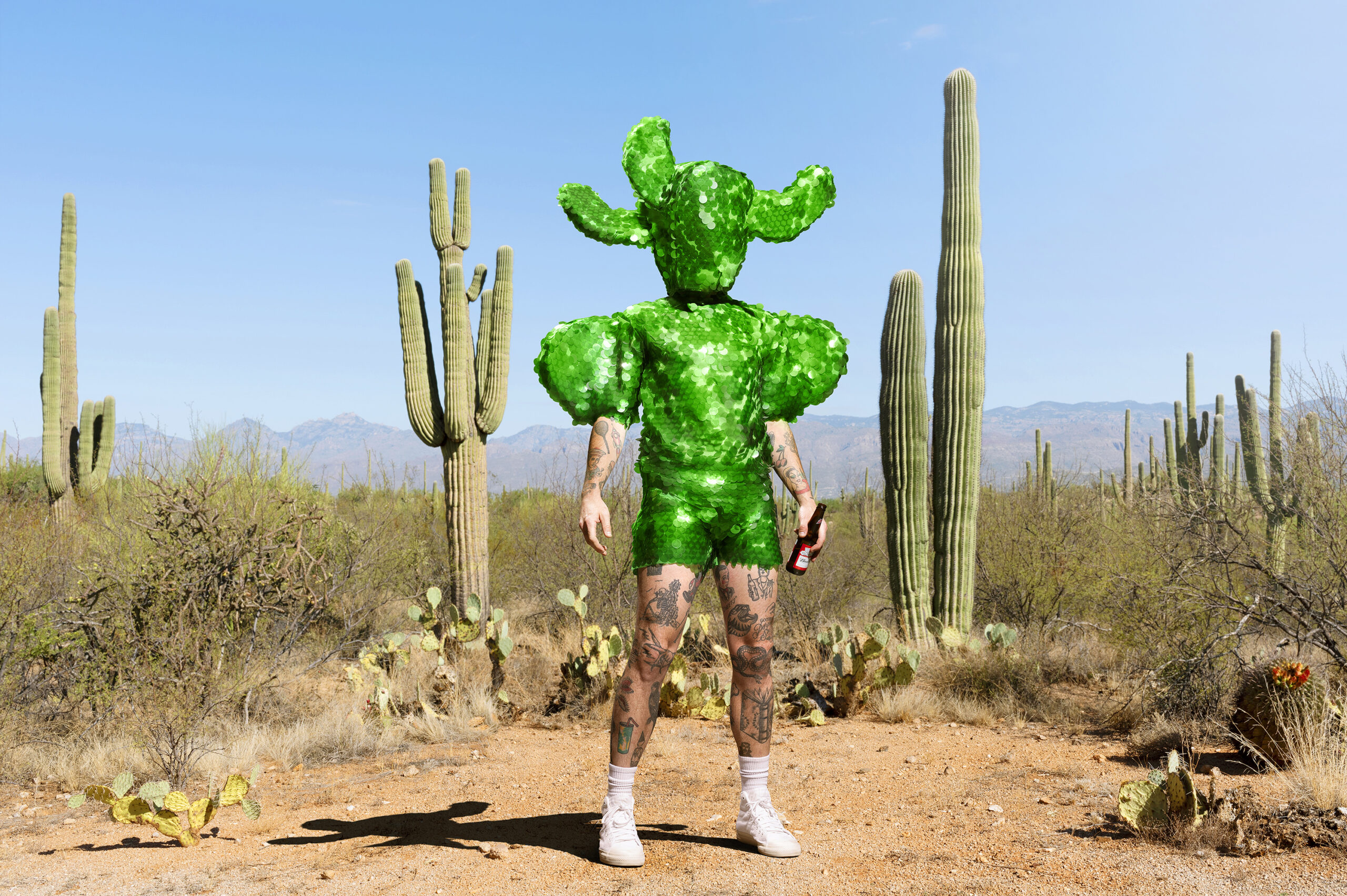 Thumbnail for What lies beneath: Arizona desert dreaming