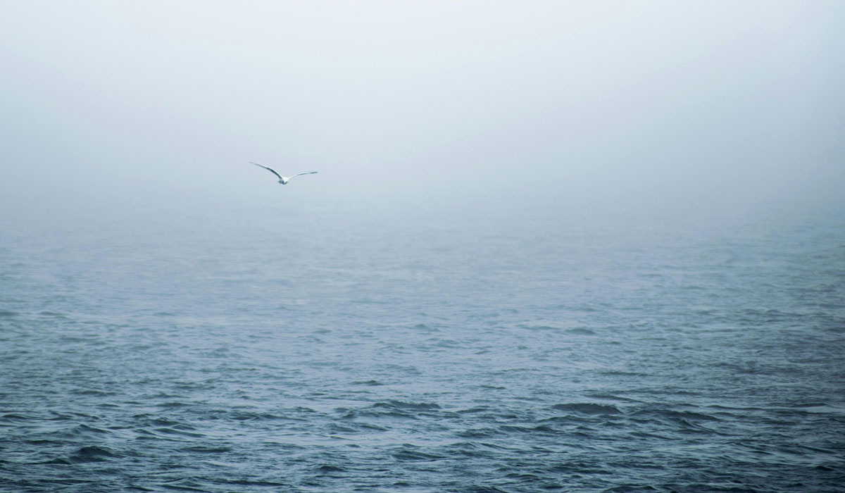 Thumbnail for Poem: Ocean Fog