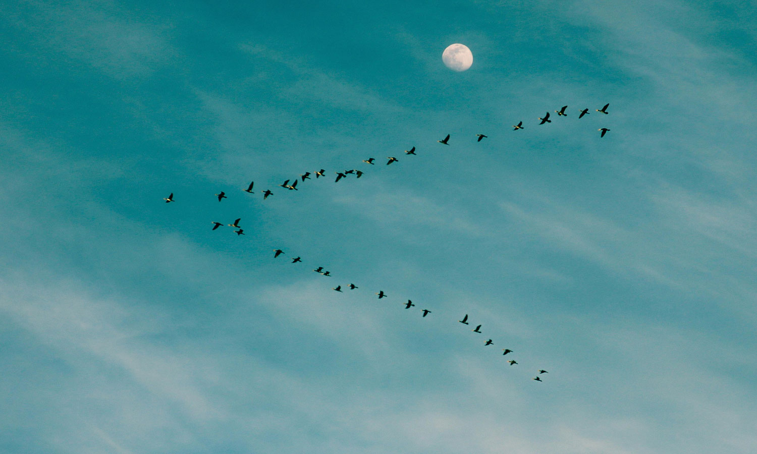 Photo: Yakup Polat / Pexels