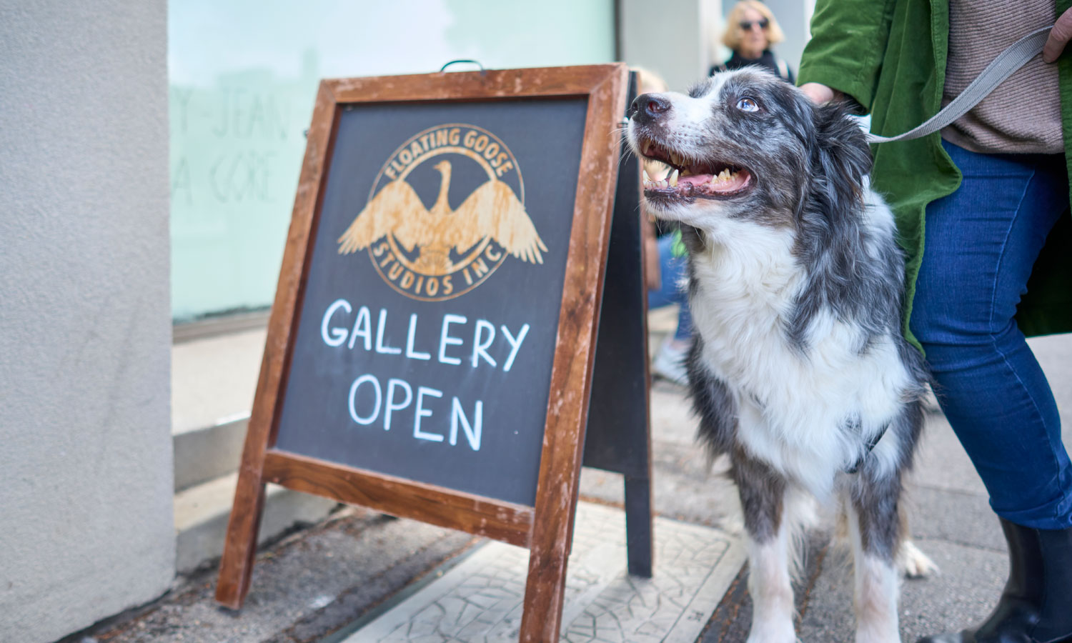 BYO pooch: A dog-friendly art tour is one of SALA's most popular guided walking tours. Photo: supplied