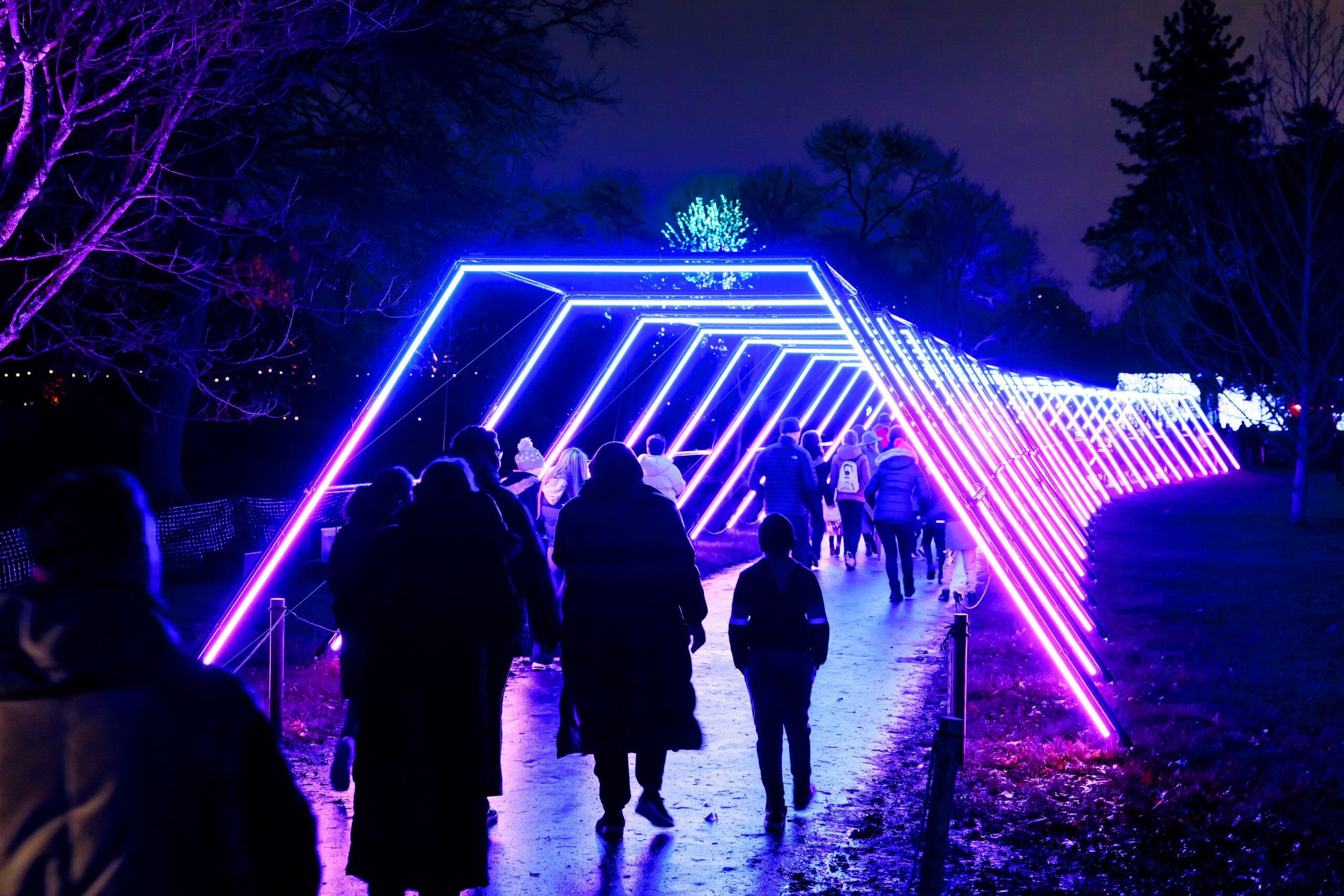 Lightscape Brisbane will turn the City Botanic Gardens into a  multisensory phenomenon of light, colour and sound at this year's Brisbane Festival.