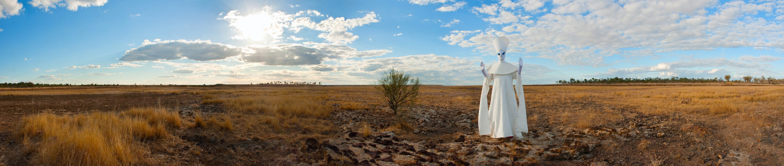 Luke Roberts' Pope Alice (Lake Galilee), 2009, part of the collection of The University of Queensland, and reproduced courtesy of the artist and Milani Gallery, is one of the artist's works on show at Rockhampton Museum of Art. Photo: Carl Warner