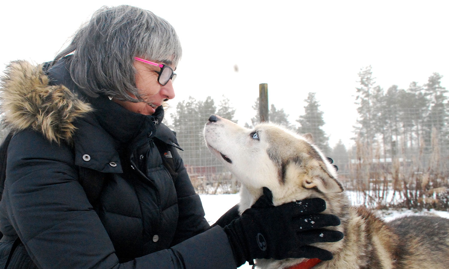 Not quite alone - Solo Travel For Dummies author Lee Mylne in Finland with a furry friend.