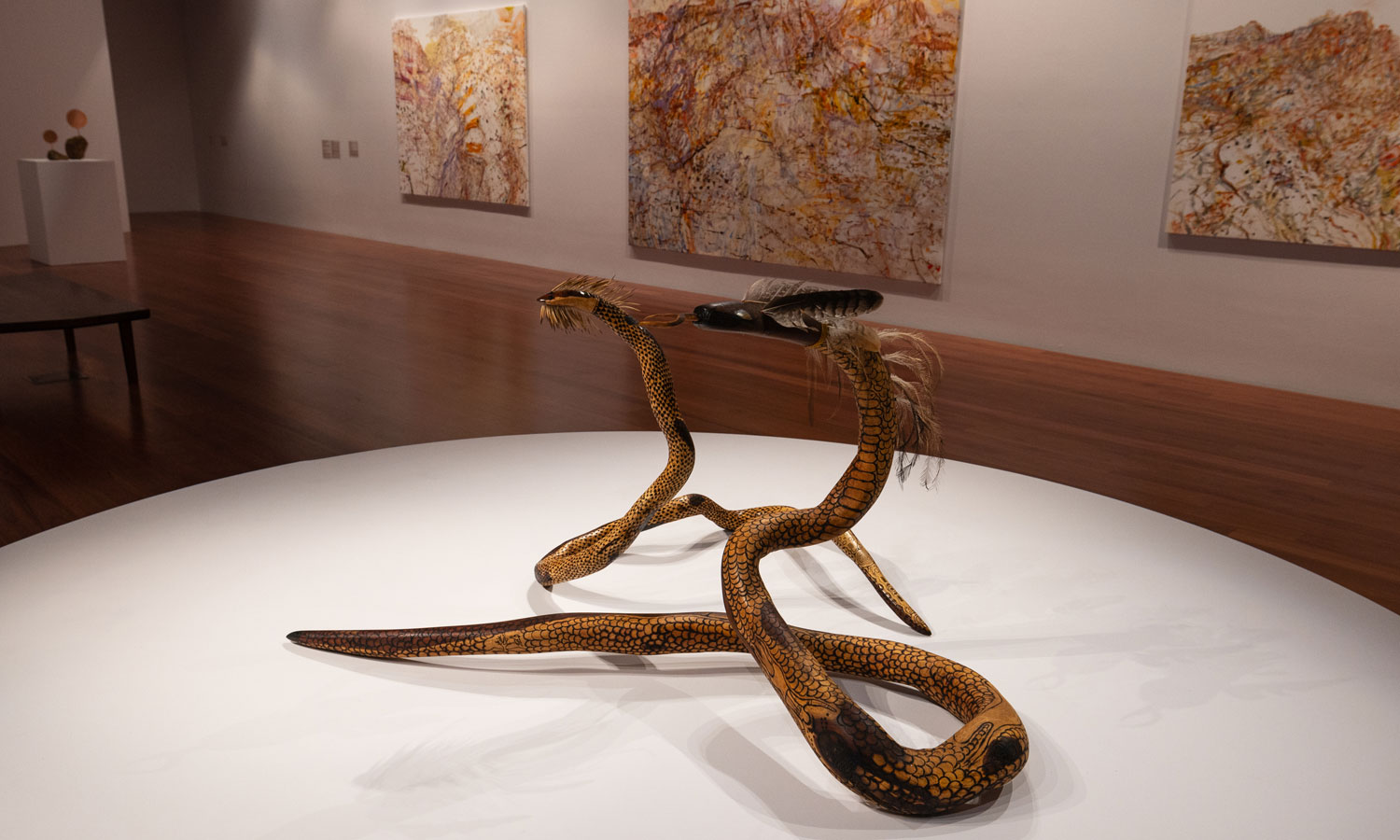'Mulka Yata/The Knowledge of Place' installation view featuring Kristian Coulthard's Akurra sculptures, 2024, Samstag Museum of Art. Photo: Sia Duff, courtesy Samstag Museum 