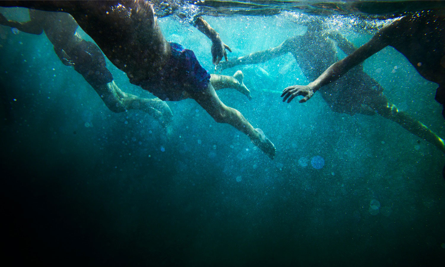Thumbnail for Narelle Autio’s otherworldy images capture the mystery of the deep