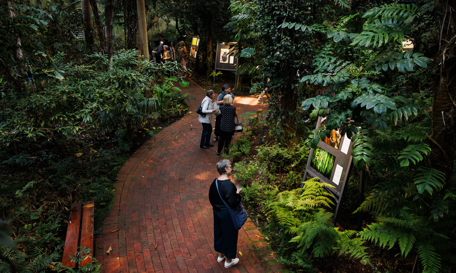 Nature Festival is an annual open-access festival encompassing arts, music and food events, talks and Aboriginal culture. Photo: supplied