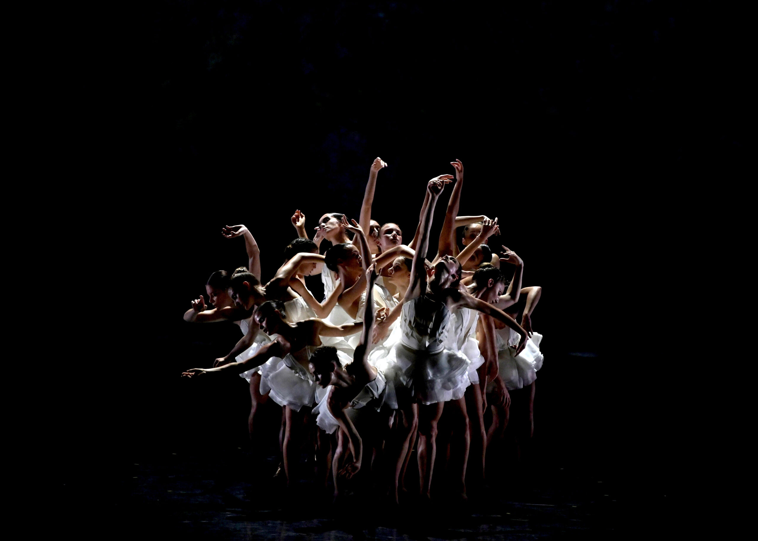 France's acclaimed Ballet Preljocaj is bringing its unique take on Swan Lake to Brisbane in 2025 for the reboot of the QPAC International Series.