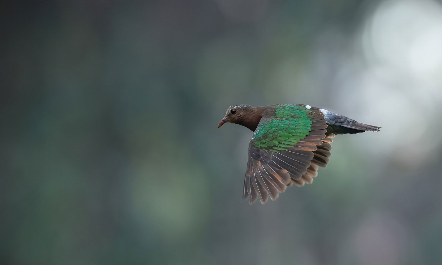 Photo: Deepak Budhathoki / Wikimedia Commons